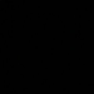 Meet your Posher, Chip